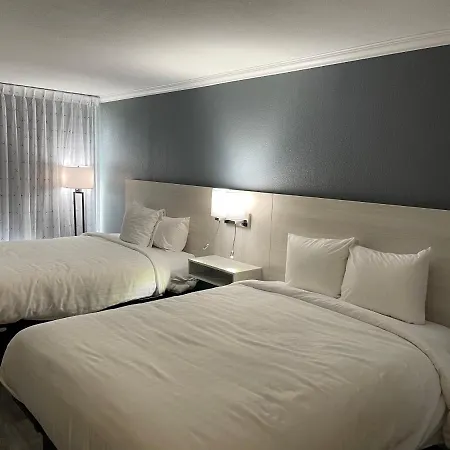 Mainstay Suites Florence - Darlington-2