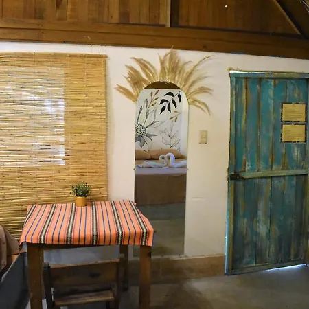 Hotel El Delfin-2