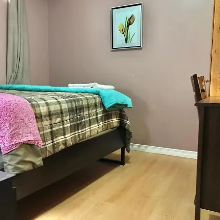 Bright Room By Smartying York University-3