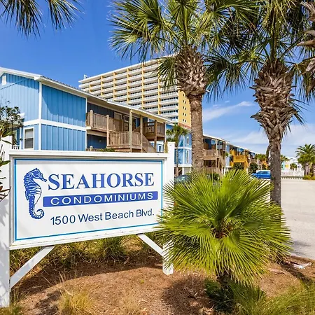 Seahorse 612-2