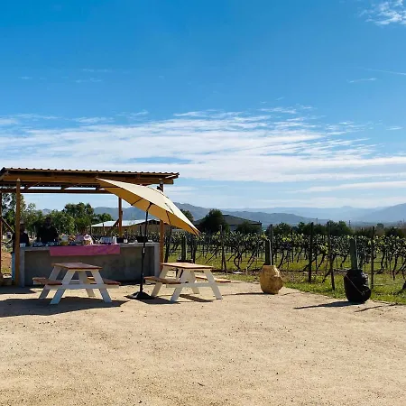 The Pangea Valle De Guadalupe-3