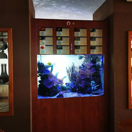 Hotel Apollon Rust-3