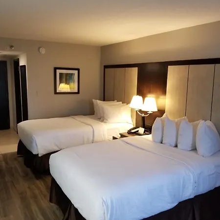 Wyndham Garden Hotel - Jacksonville-3