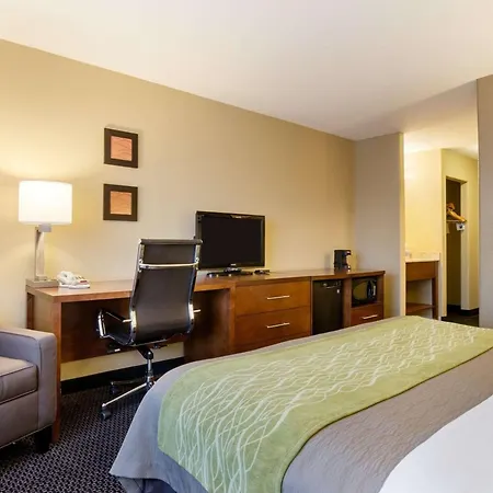 Comfort Inn Garden City-2