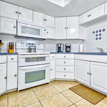 Beach Palms 406-3