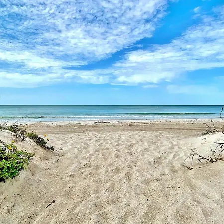 Beach Palms 405-3