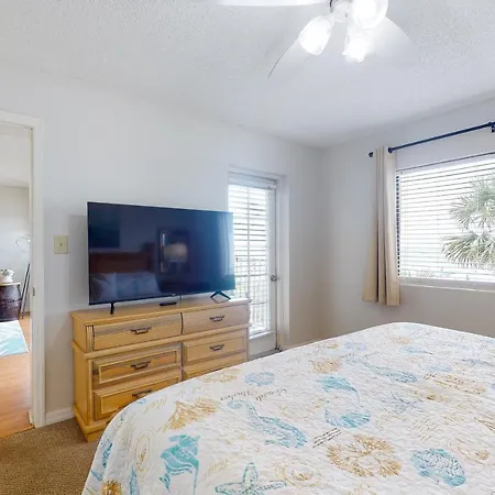 Beach Palms 108-3