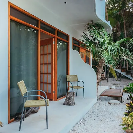 Ventanas Al Mar Beach Front Cozumel (Adults Only)-3