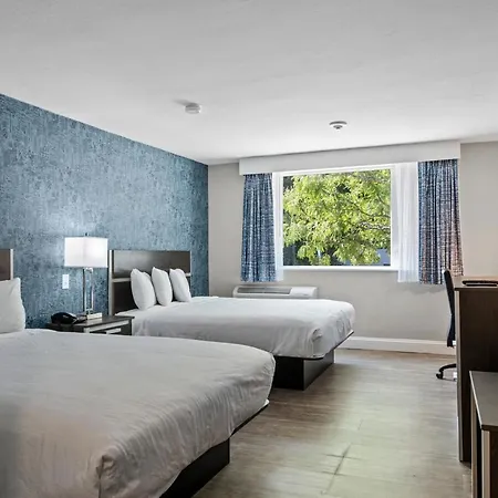 Inn On Arsenal-2