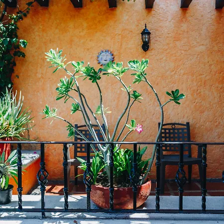 Hotel Lunata - 5Th Avenue (Adults Only)-2