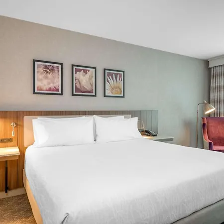 Hilton Garden Inn Boston Logan Airport-3
