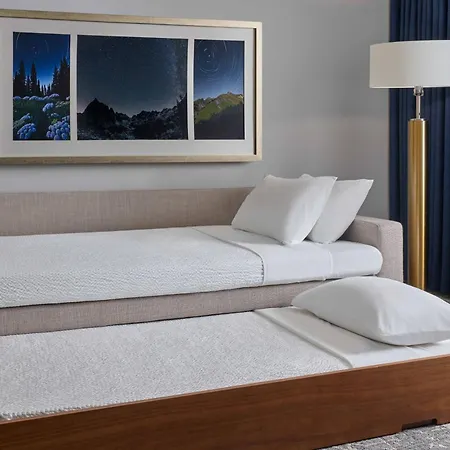 Springhill Suites By Marriott Denver Downtown-2