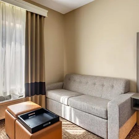 Comfort Inn & Suites North Dallas-Addison-3