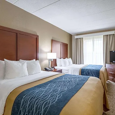 Comfort Inn Indianapolis North - Carmel-3