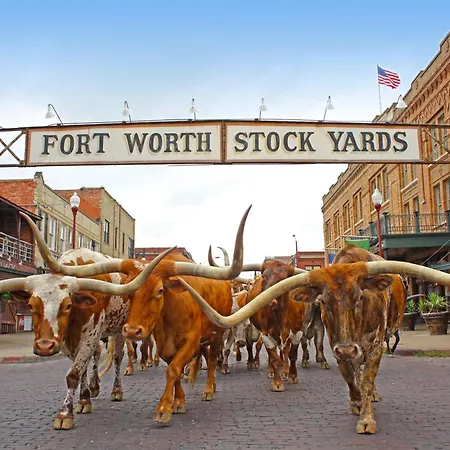 Radisson Hotel Fort Worth North-Fossil Creek-2