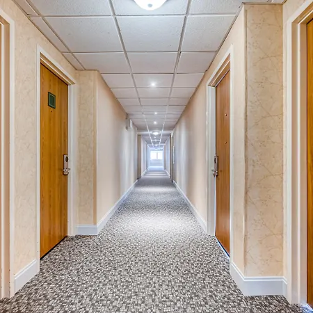Oyo Townhouse Love Field-2