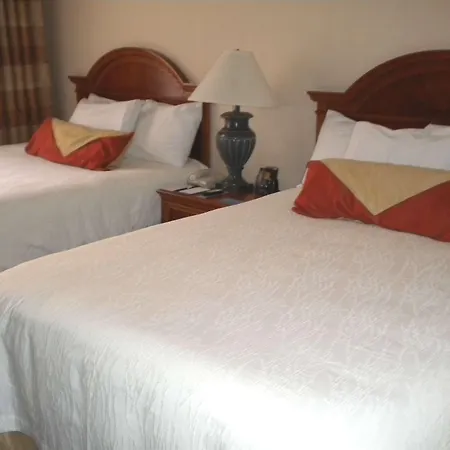 Hilton Garden Inn Williamsburg-3