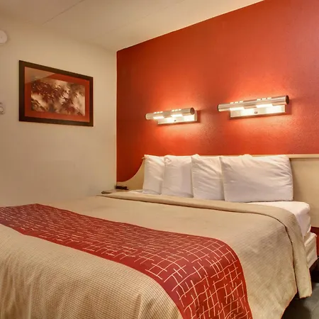 Red Roof Inn St Louis - Westport - Maryland Heights-3