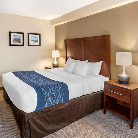 Comfort Inn & Suites Virginia Beach - Norfolk Airport-2