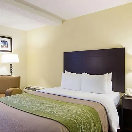 Quality Inn & Suites Little Rock West-3