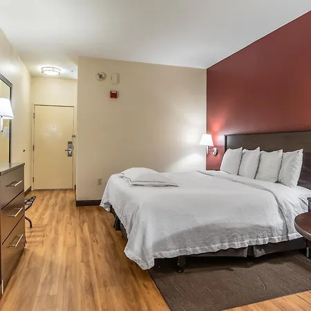 Red Roof Inn Plus Austin South - Airport-2