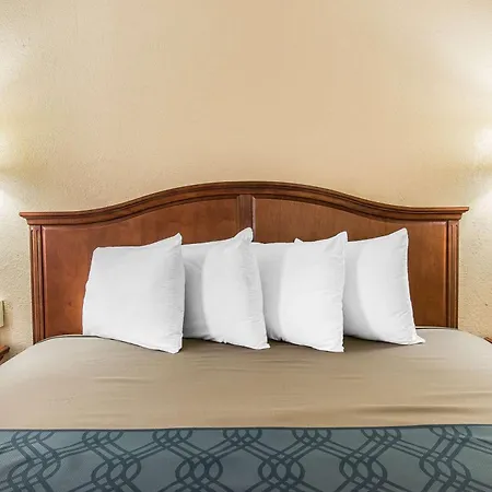 Econo Lodge Savannah Midtown-2