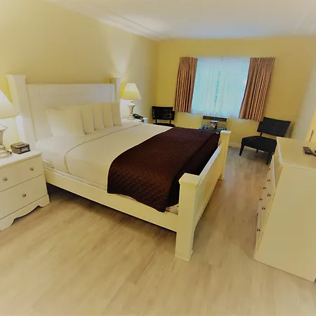 Hollywood Celebrity Hotel-2