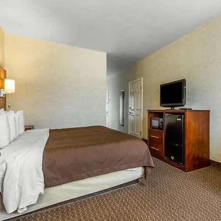 Comfort Inn San Jose International Airport-3