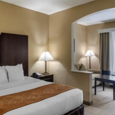 Comfort Suites The Colony - Plano West-2