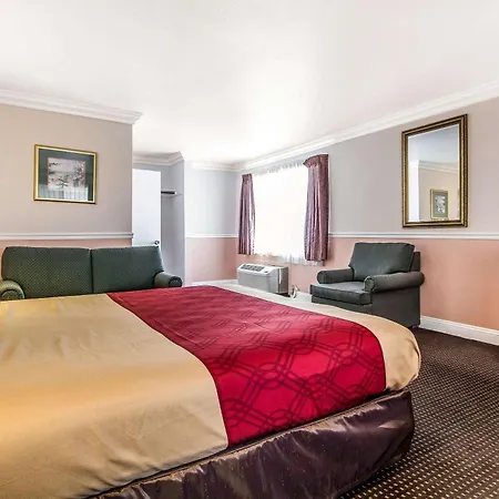 Econo Lodge Castro Valley I-580-3