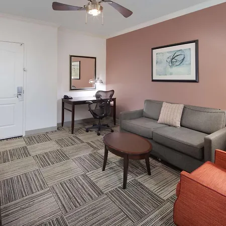 Hilton Garden Inn Tyler-3