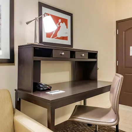 Staybridge Suites St. Petersburg Fl By Ihg-2