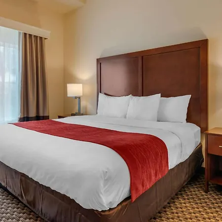 Comfort Inn & Suites Fort Myers Airport-2