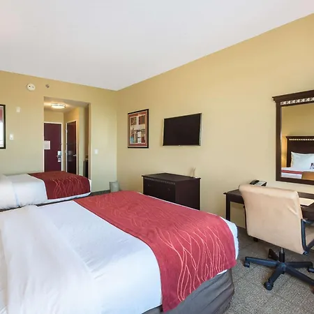 Comfort Inn & Suites Maingate South-3