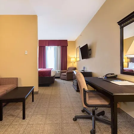 Comfort Inn & Suites Maingate South-2