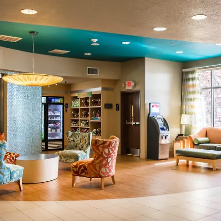 Hampton Inn By Hilton Tampa Fairgrounds Casino-3