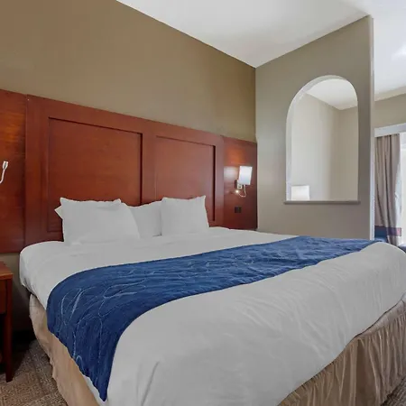 Comfort Suites Gainesville-3