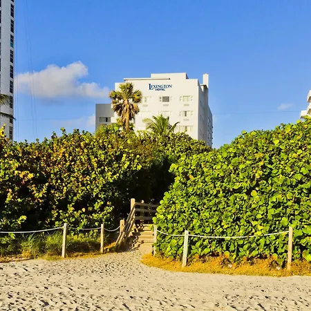 Lexington By Hotel Rl Miami Beach-3