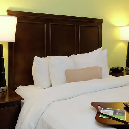 Hampton Inn & Suites Miami-Doral Dolphin Mall-3