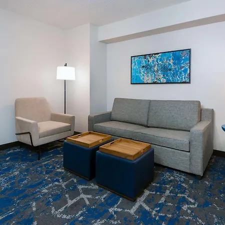 Embassy Suites By Hilton Tampa Usf Near Busch Gardens-3