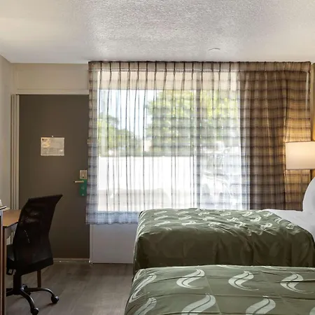 Quality Inn Saint Petersburg North-Tampa Bay-2