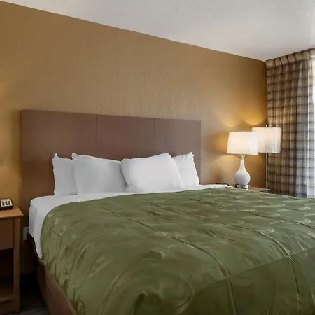 Quality Inn Saint Petersburg North-Tampa Bay-3