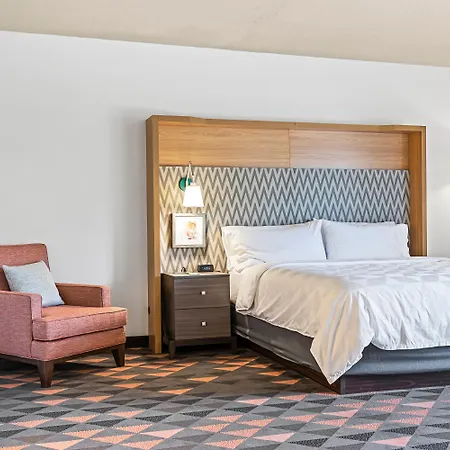 Holiday Inn - St. Petersburg West By Ihg-3