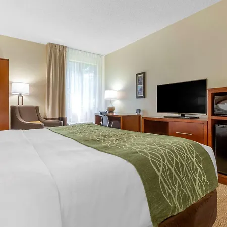 Comfort Inn & Suites Lenoir Hwy 321 Northern Foothills-2