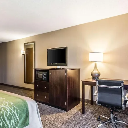 Comfort Inn Lansing West-2