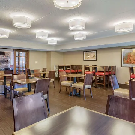 Comfort Inn Lansing West-3