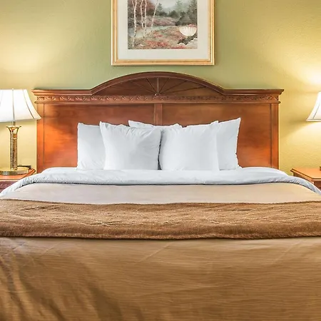 Quality Inn & Suites Ann Arbor Hwy 23-3