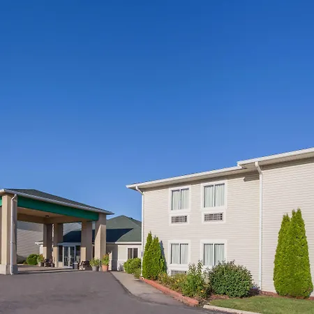 American Inn & Suites-3