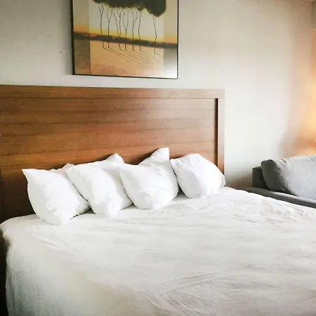 Super 8 By Wyndham Petoskey-3