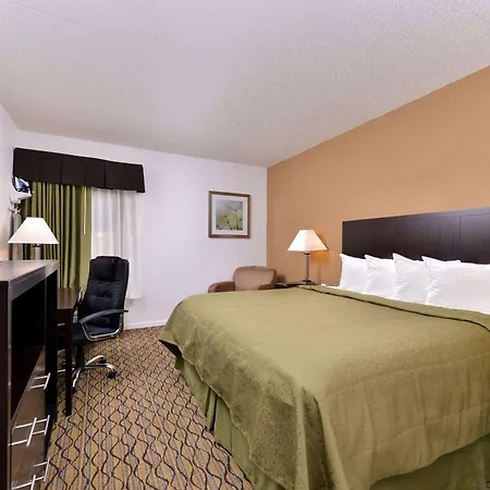Quality Inn & Suites Matteson Near I-57-3